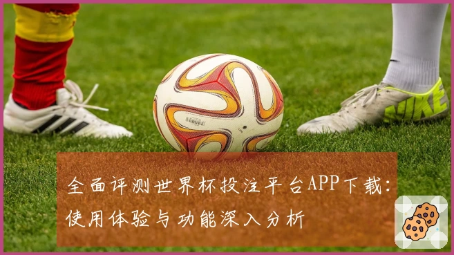 全面评测世界杯投注平台APP下载：使用体验与功能深入分析