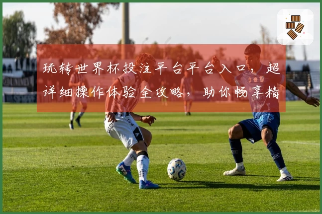 玩转世界杯投注平台平台入口，超详细操作体验全攻略，助你畅享精彩赛事