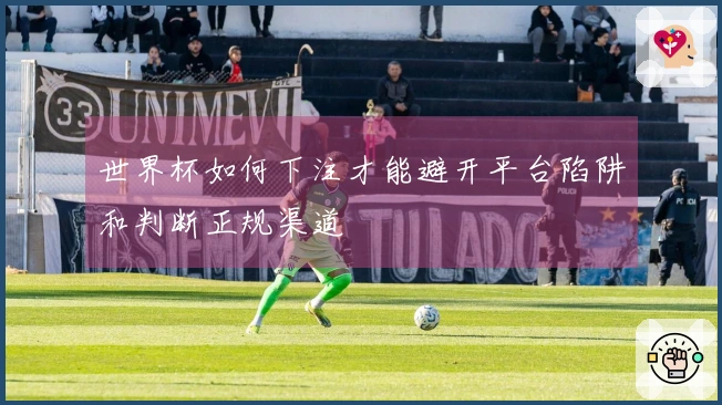 世界杯如何下注才能避开平台陷阱和判断正规渠道