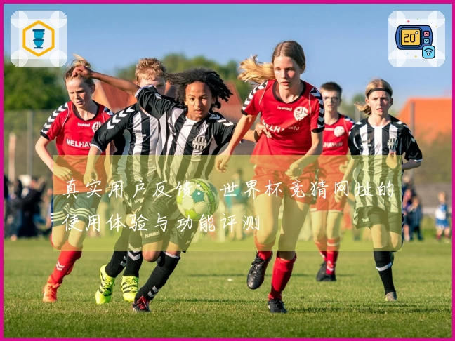真实用户反馈：世界杯竞猜网址的使用体验与功能评测