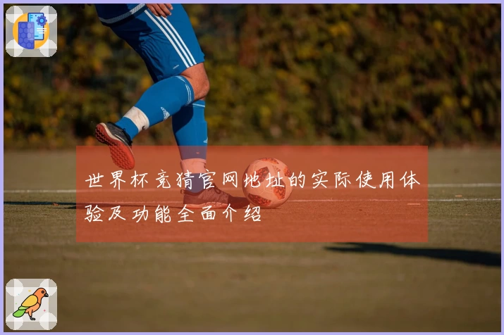 世界杯竞猜官网地址的实际使用体验及功能全面介绍