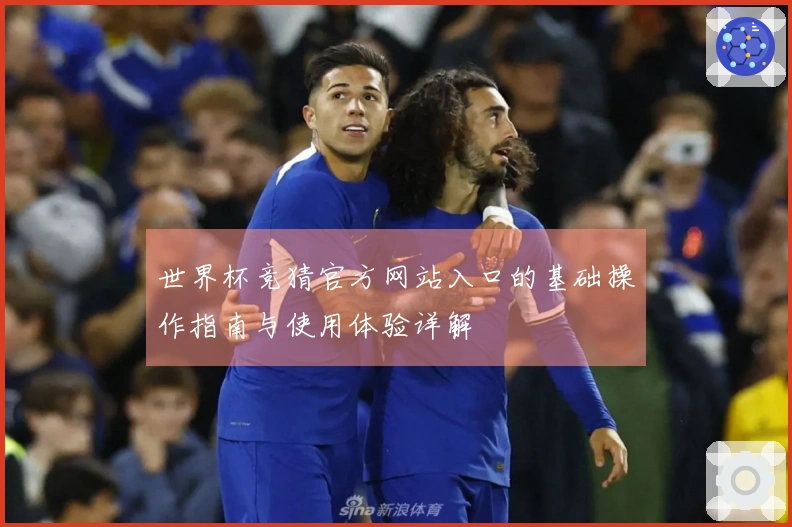 世界杯竞猜官方网站入口的基础操作指南与使用体验详解