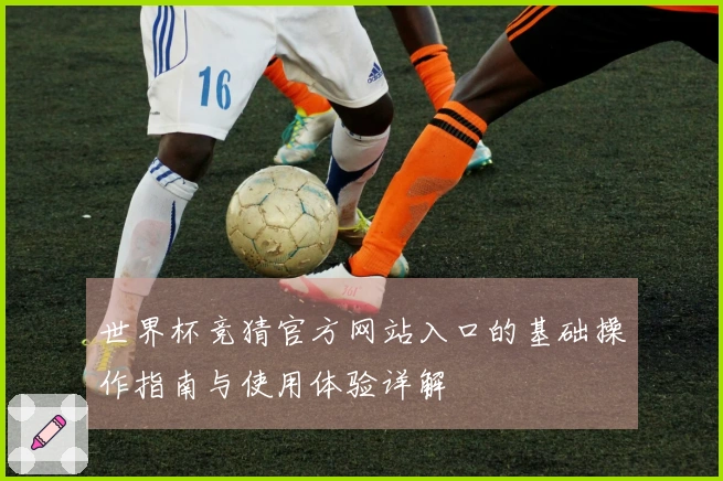 世界杯竞猜官方网站入口的基础操作指南与使用体验详解