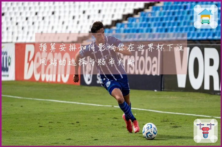 预算安排如何影响你在世界杯下注网站的选择与赔率判断