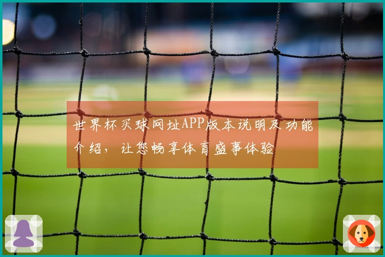 世界杯买球网址APP版本说明及功能介绍，让您畅享体育盛事体验