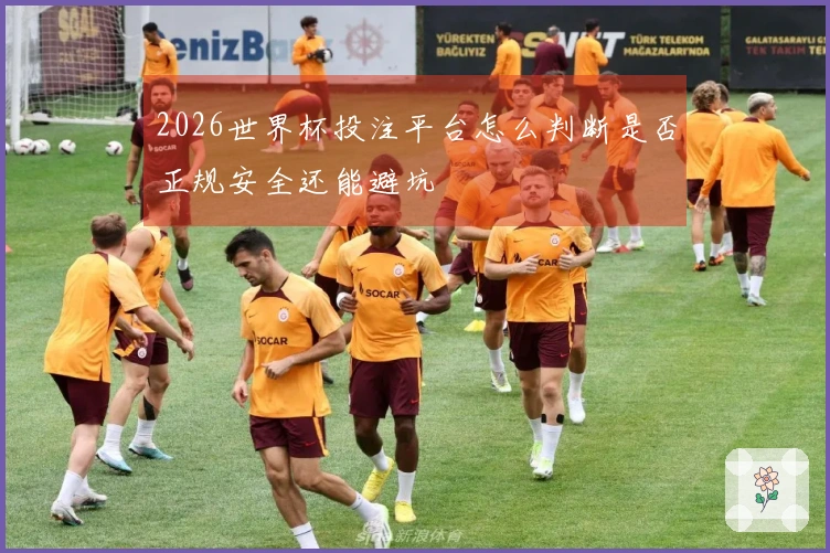 2026世界杯投注平台怎么判断是否正规安全还能避坑