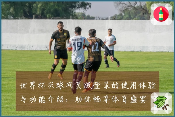 世界杯买球网页版登录的使用体验与功能介绍，助你畅享体育盛宴