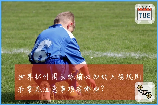 世界杯外围买球前必知的入场规则和常见注意事项有哪些？