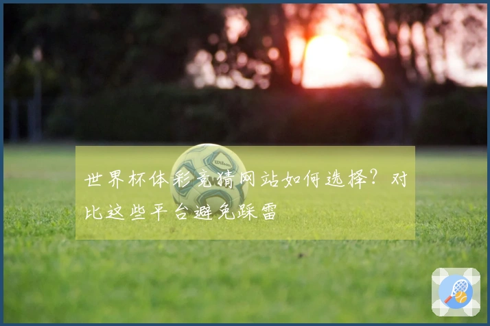 世界杯体彩竞猜网站如何选择？对比这些平台避免踩雷