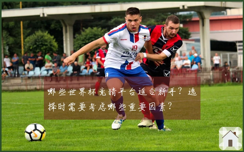 哪些世界杯竞猜平台适合新手？选择时需要考虑哪些重要因素？