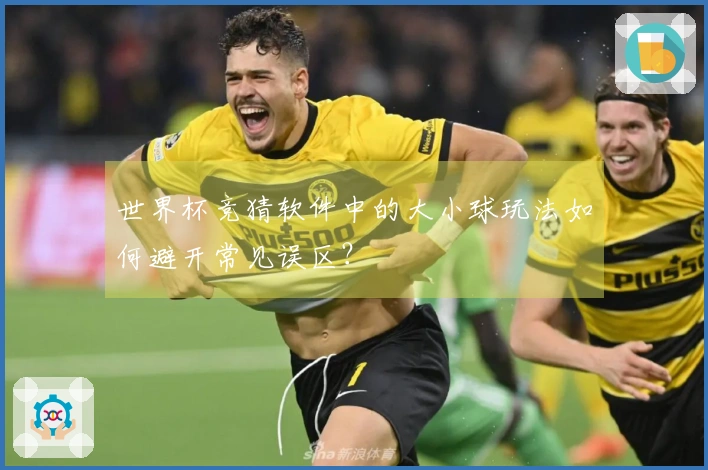 世界杯竞猜软件中的大小球玩法如何避开常见误区？