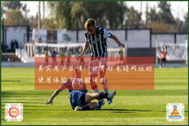 真实用户反馈：世界杯竞猜网址的使用体验与功能评测