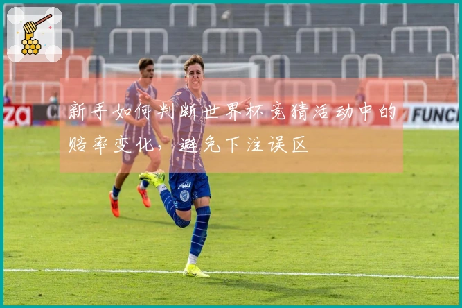 新手如何判断世界杯竞猜活动中的赔率变化，避免下注误区