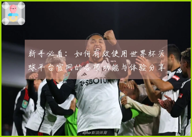 新手必看:如何有效使用世界杯买球平台官网的各项功能与体验分享