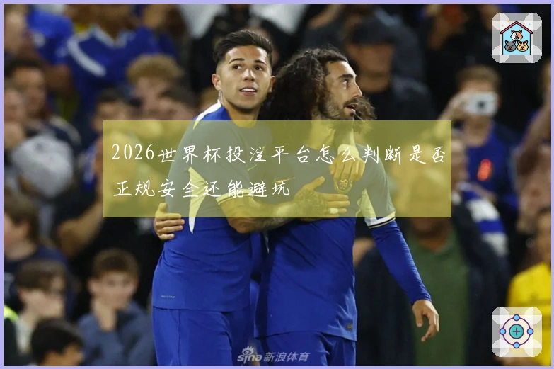 2026世界杯投注平台怎么判断是否正规安全还能避坑